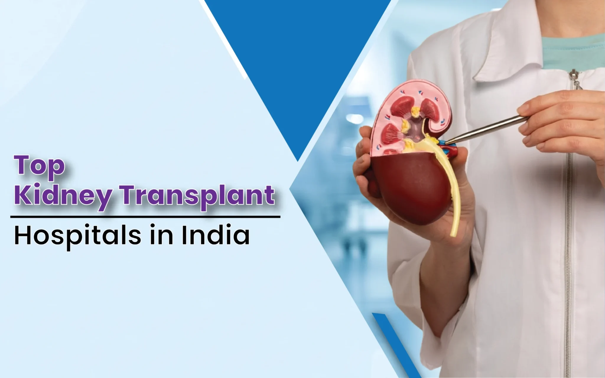 Top 5 Kidney Transplant Hospitals In India
