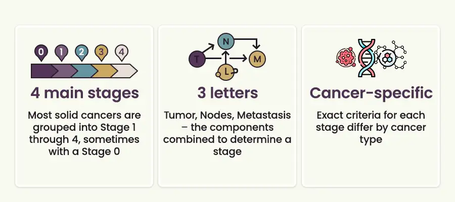 4 main stages